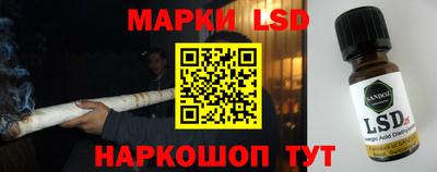 гашик Будённовск