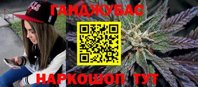 гашик Будённовск
