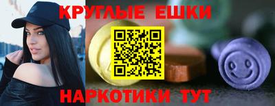 гашик Будённовск