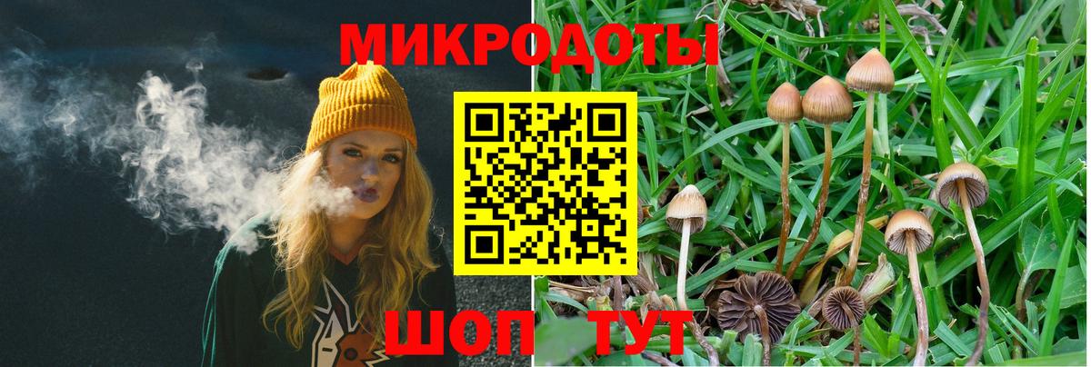 Псилоцибиновые грибы ЛСД  наркошоп  Томск  Вход с VPN 