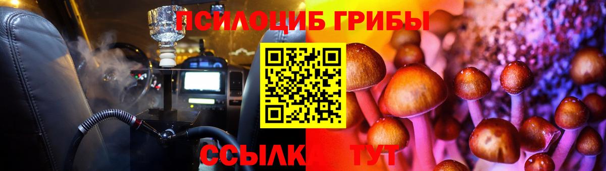 Псилоцибиновые грибы Cubensis Томск