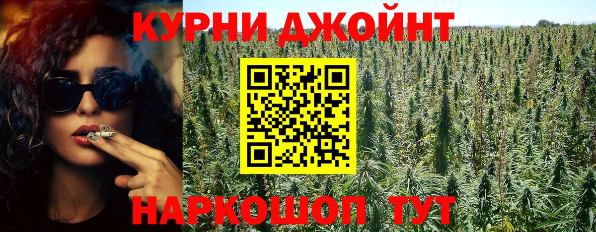 Томск  Шишки марихуана OG Kush  Вход с VPN  Каннабис сатива  Бошки Шишки семена 